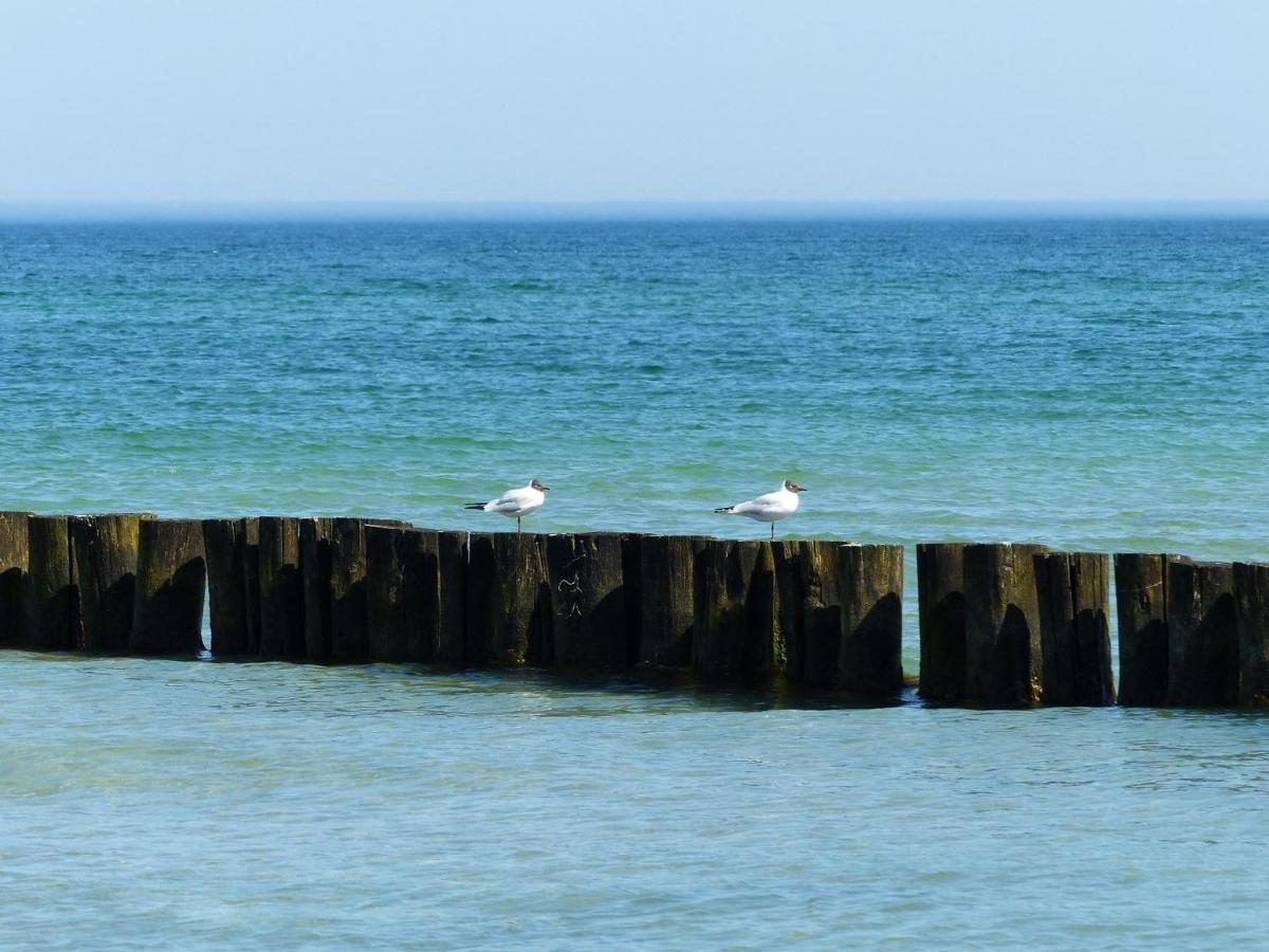 Apartmán Lindenstr_38 _Haus Kranich_ Zingst Exteriér fotografie